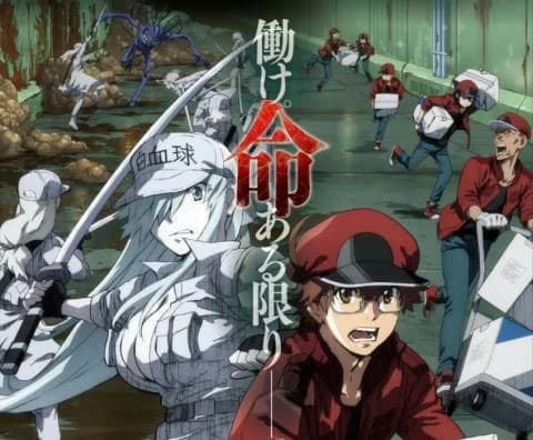 انمي Hataraku Saibou Black الحلقة 3